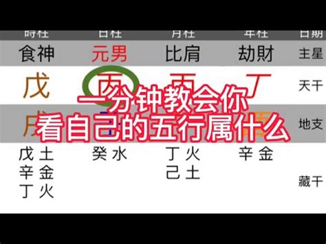 五行字庫查詢|【五行字庫查詢】五行取名必備神器！免費五行字庫查。